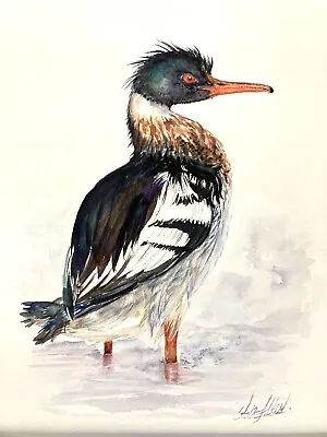 Bird Watercolor Original  Painting Red Breasted Merganser Duck • $230