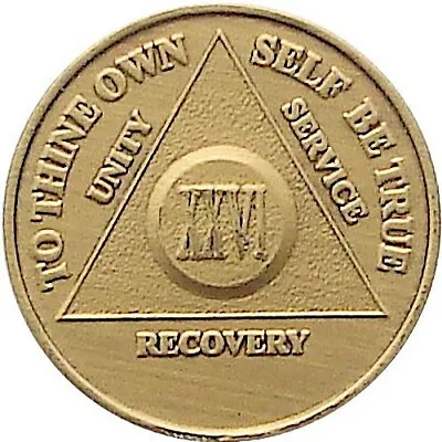 26 Years AA Bronze Anniversary Medallion - (MEDT) • $2.40