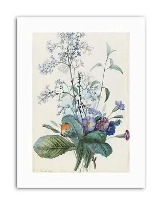 £12.99 • Buy Pierre Joseph Redoute French Bouquet Flowers Insect Canvas Art Print