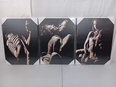 Canvas Wall Art - Lust BDSM LGBT+ - 3 Piece • $30