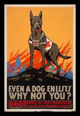 German Shepherd Dog Enlists BIG MAGNET 3.5 X 5 Inches Vintage Poster Art • $5.98