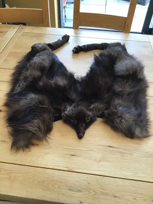 £65 • Buy Vintage Fox Real Fur Stole 