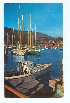 Posted - Mt. Desert Island Maine Windjammers Cruiser At Harbor (MmiscME116 • $3.99