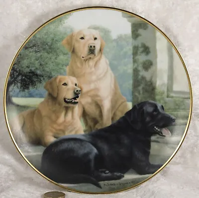 £5 • Buy Franklin Mint Canine Companions Nigel Hemming Plate Labrador Retriever Dog 