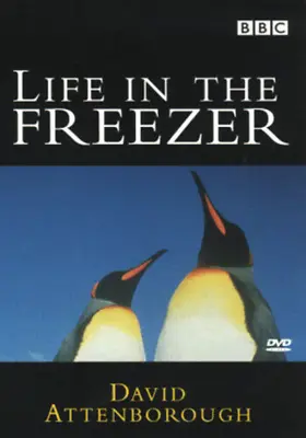 David Attenborough - Life In The Freezer DVD Documentary (2002) Amazing Value • £2.51