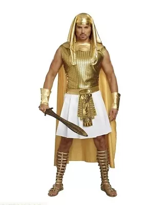 Ramses - Egyptian - God - Gold/White - Costume - Men - Plus - 2XL • $84.99
