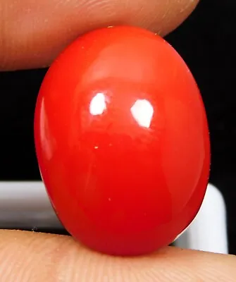 36.65 Ct Natural Coral Cabochon Italian Red Oval Cut Loose Gemstone • $15