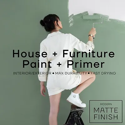 Soto All-In-One House + Furniture Paint Modern Matte Finish • $340