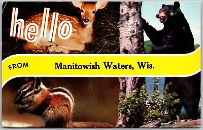 Postcard: Greetings From Manitowish Waters Wis. A38 • $3.49