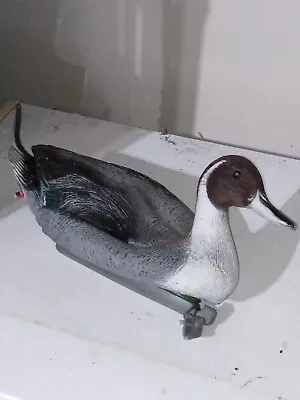 Northern Pintail Duck Decoy • $50