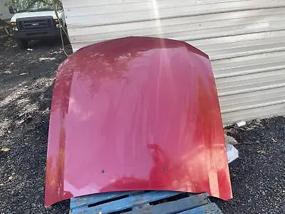 2005-2009 Ford Mustang GT Hood Assembly Red (G2) Oem Tested • $474.99