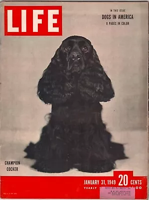 Life Magazine / Jan 31 1949 • $11