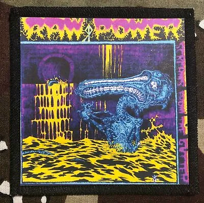 Raw Power Screams From The Gutter Sublimated Printed Patch R021P • $6.99