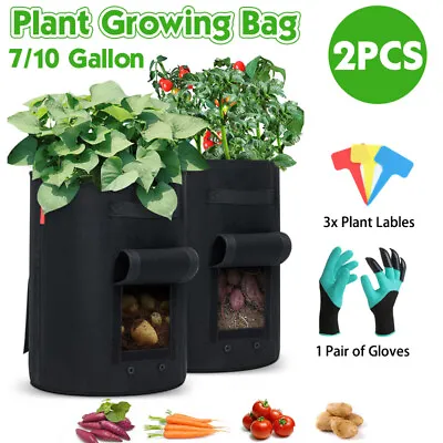 £7.19 • Buy 7/10Gallon Plant Grow Bags Potato Fruit Veg Garden Plant Growing Bag With Groves