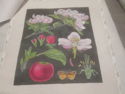 Apple Blossoms-melissa Shirley-handpainted Needlepoint Canvas-stitch Guide • $155.67