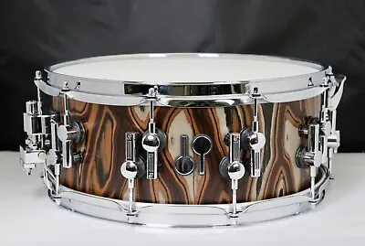 Sonor SQ2 14x6 Beech Medium Shell Elder Tree Semi Gloss Chrome Hardware Snare #2 • $993.68