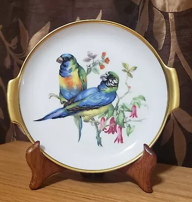 Vtg Alboth Kaiser Porcelain Plate  Vogel Wie  Parrot Birds Flowers Gold Handles • $12