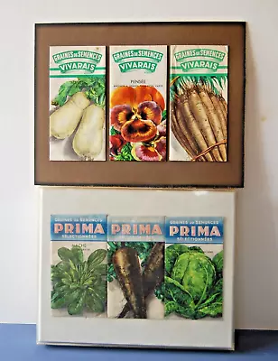 6 Vintage Framed Flower And Vegetable Seed Packets French PRIMA And VIVARAIS • $20