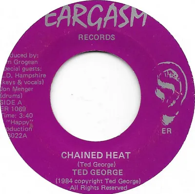 TED GEORGE Chained Heat On Eargasm Pre-Witch Ohio Hard Rock Heavy Metal 45 HEAR • $50