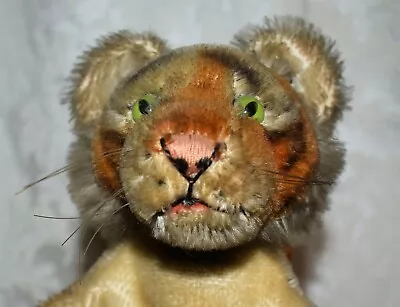 T8a. Steiff Hand Puppet  Daniel  The Tiger. Mohair Glass Eyes Tag  No Button • $95