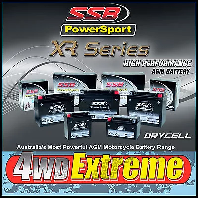 $89 • Buy  Ssb 12v Rtx14-bs Agm Motorcycle Ytx14bs Ytx14-bs Honda Yamaha Battery Drycell