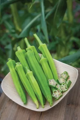 20 × Bangladeshi Indian Okra Spineless Okra Ladies Finger Bindi Dheros Seeds • £2