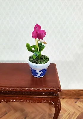 Dollhouse Miniature Orchid Lady Slipper Pink Flowering Plant In Ceramic Pot 1:12 • $8.99