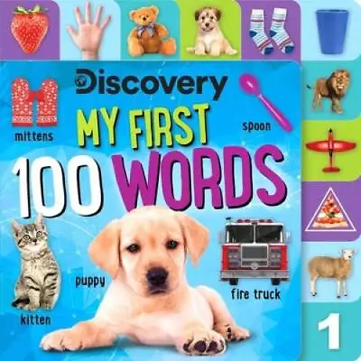 Discovery: My First 100 Words - Board Book By Feldman Thea - GOOD • $3.97