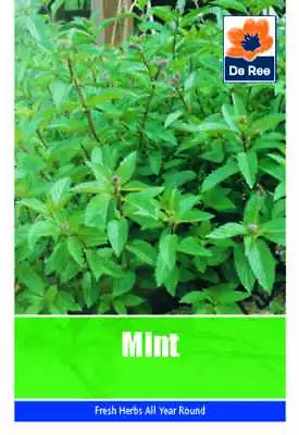 De Ree Plant Seeds / Fruit Vegetable Herbs Seeds • £0.99