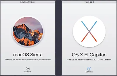 2 In 1 Bootable Installer USB Sierra + El Capitan Recover Upgrade Reinstall OS X • $27
