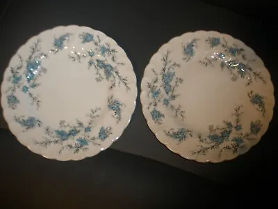 Myott England Forget Me Not Fine Staffordshire Ware 6  Diameter Set Of 2 Plates • $20.69