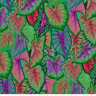 1/2 Metre Kaffe Fassett Caladiums PWPJ108 Dark - Cotton Quilting Fabric • £8.60