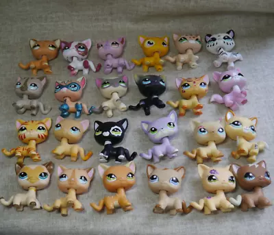 £5.99 • Buy 3pcs/lot Random LPS Toys Rare Pet Shop  Short Hair Cat  Animal Figures