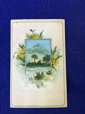 ANTIQUE Rio LION COFFEE Vitorian TRADING CARD Java TOLEDO OHIO Mocha FLOWERS • $11.11