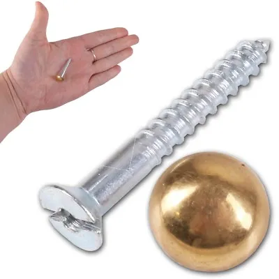 £3.67 • Buy 1.25  MIRROR SCREWS & DOMES Brass Plated Head Cap Cover Wall Mounting/Fixing