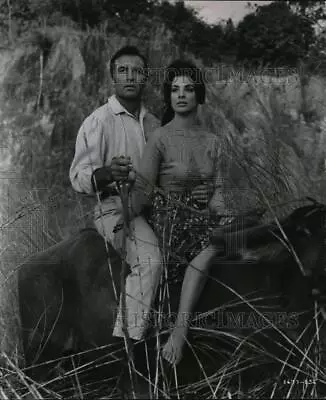 1961 Press Photo George Montgomery And Ziva Rodann Riding A Filipino Oxen • $19.99