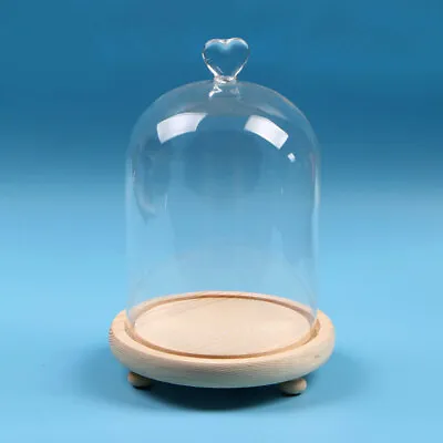 £7.95 • Buy Large Clear Glass Display Stand Bell Jar Dome Cloche With Wooden Base Decor Boxs