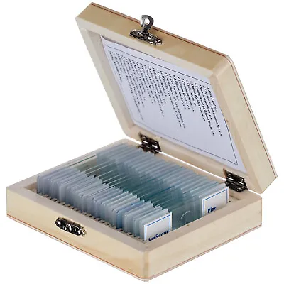 AmScope 25 Prepared Microscope Slides Glass With Wooden Box • $15.99