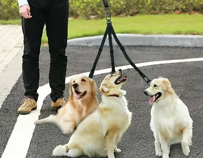 3 Dog 3 Way Lead Leash Triple Coupler Nylon Strong No Tangle Walking Large Dogs • £22.99