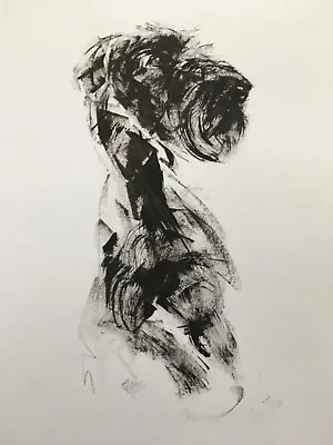Original Signed Ink Sketch Drawing Of An Irish Terrier A3 • £50