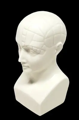 Vintage BOEHM ETRAFON White Porcelain Phrenology Head Drug Advertising Figurine • $26.49