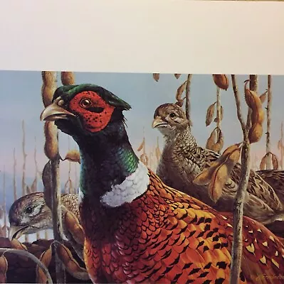 Mario Fernandez1984 Minnesota Pheasant Print S/n Ed.2992/4650 No Stamp Mint. • $110