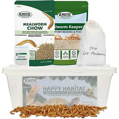 Mealworm Breeder Kit - Breeder Kit For Feeder Insects For Reptiles Amphibians • $38.99