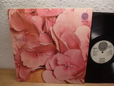 Still Life – Still Life Same Lp Mint- 1971 Megarare Vertigo Swirl Prog Monster • £123.87