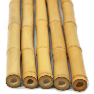 10 Strong Thick Bamboo Canes Garden Flower Plants Stakes Wooden Trellis Pole 2ft • £7.29