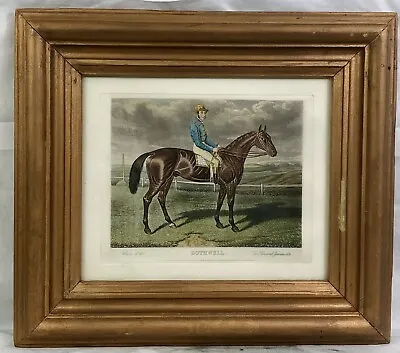 Antique Racehorse Bothwell Engraving Two Thousand Guineas Stakes Winner 1871 • £249.99