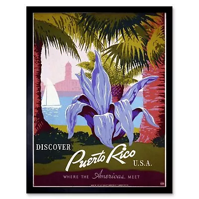 Travel Puerto Rico Usa Tropical Plant Vintage Retro Advertising Framed Art Print • $16.99