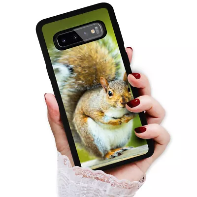 ( For Samsung S7 Edge ) Back Case Cover PB13025 Squirrels • $9.99