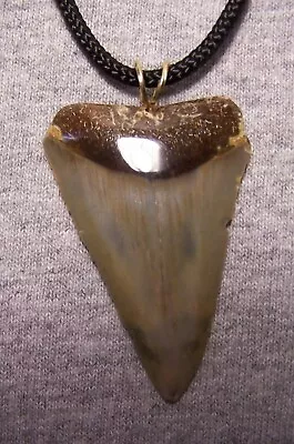 Mako Shark Tooth Shark Teeth Necklace Fossil 2 1/8  Wireless Polished Megalodon • $39