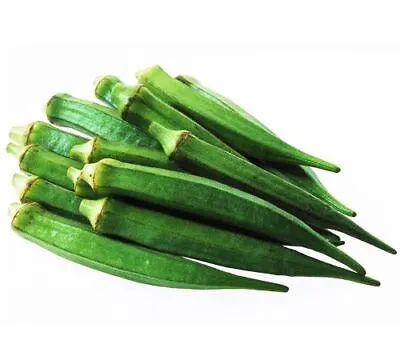 100 Okra Seeds Gumbo Abelmoschus Moschatus Organic Seed S012 • $4.06